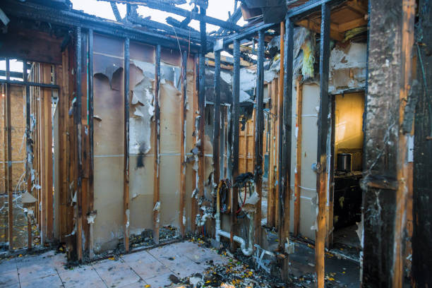 Professional Soot Cleanup technician working in Clearwater, FL