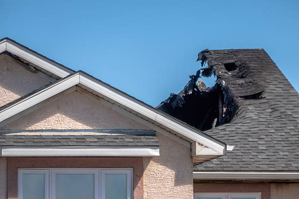 Top rated local Soot Cleanup specialists in Clearwater, FL